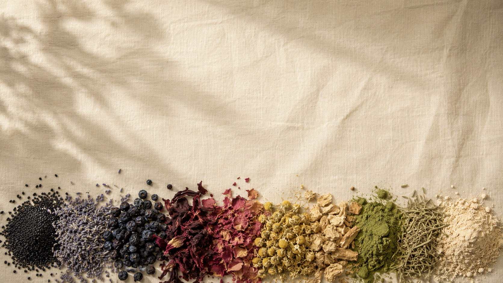 Horizontal band of botanical ingredients on natural linen, soft leaf shadows above